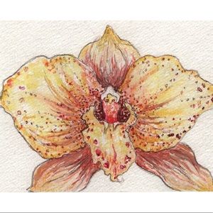 Orchid Watercolor (Cymbidium)